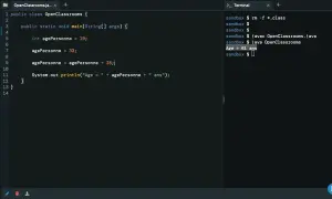 Code Java montrant une conversion implicite de int vers double pour calculer l'âge. L'âge final est de 61 ans.