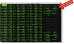 Un écran affiche des données hexadécimales et ASCII, comme si l'on tentait de décoder un code ASCII. Une flèche rouge indique un motif dû à une boucle XOR et des octets 0x00.