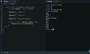 Code Java affichant un tableau de chaînes, avec "Index 1" et "Nouvelle donnée" visibles dans la sortie du terminal.