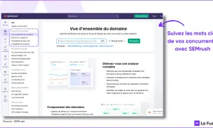 Vue d'ensemble du domaine SEMrush : analyse des concurrents, recherche organique. Comprendre le trafic et les mots clés, c'est essentiel pour le SEO.
