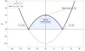 Courbe de g(x) = |x² – 4|. La fonction valeur absolue python transforme les parties négatives de la parabole y = x² – 4 en parties positives.