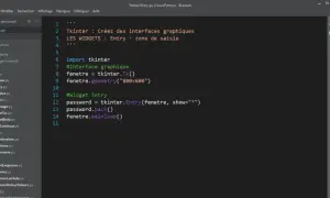 Code Python utilisant tkinter pour créer une fenêtre avec un champ de saisie (Entry) pour un mot de passe.
