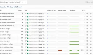 Tableau de mots-clés avec un filtre regex "^acheter.*en ligne$". On y voit des termes comme "acheter bibliothèque en ligne", "acheter jeans en ligne", etc.