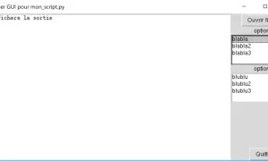 Interface graphique Tkinter avec des listes déroulantes "option 1" et "option 2", un bouton "Ouvrir fichier" et un bouton "Quitter".