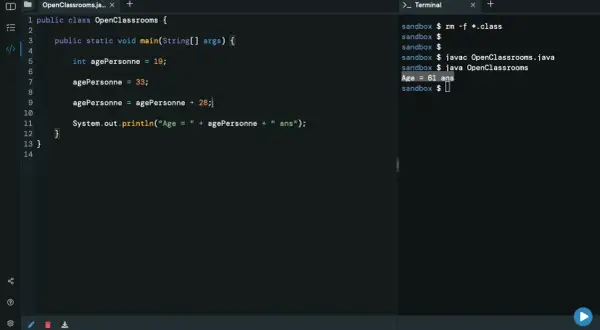 Code Java montrant une conversion implicite de int vers double pour calculer l'âge. L'âge final est de 61 ans.