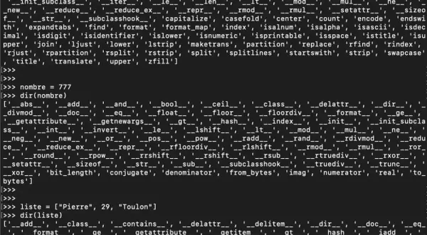 Code Python affichant les méthodes disponibles pour les chaînes de caractères, les nombres et les listes. Le mot-clé "split" est visible dans les méthodes de chaînes.