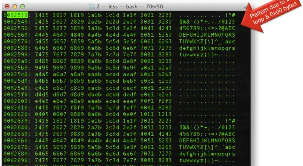 Un écran affiche des données hexadécimales et ASCII, comme si l'on tentait de décoder un code ASCII. Une flèche rouge indique un motif dû à une boucle XOR et des octets 0x00.