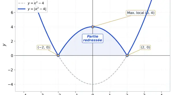 Courbe de g(x) = |x² – 4|. La fonction valeur absolue python transforme les parties négatives de la parabole y = x² – 4 en parties positives.