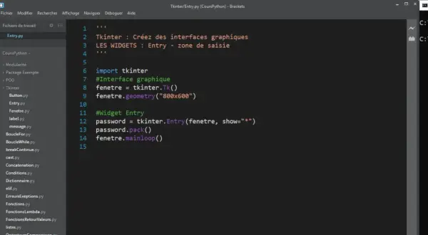 Code Python utilisant tkinter pour créer une fenêtre avec un champ de saisie (Entry) pour un mot de passe.