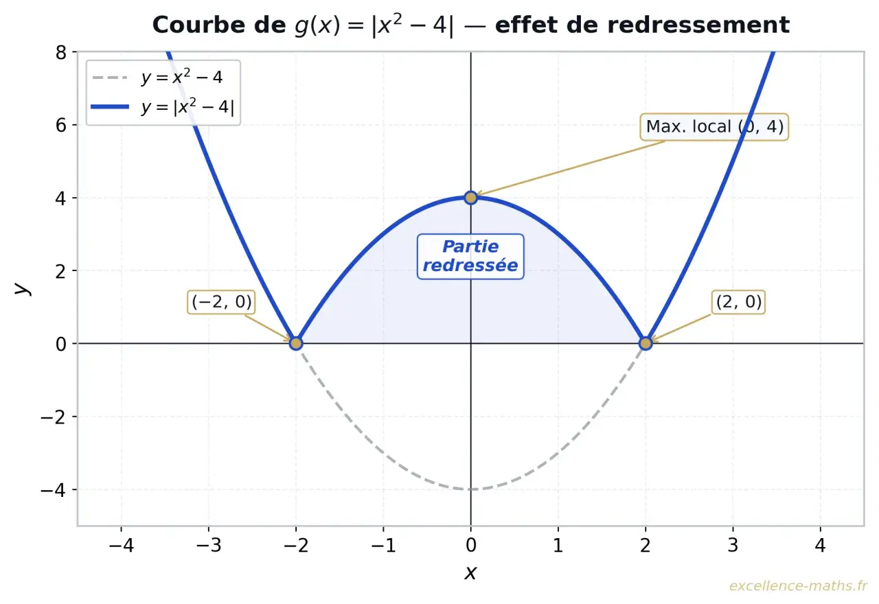 Courbe de g(x) = |x² – 4|. La fonction valeur absolue python transforme les parties négatives de la parabole y = x² – 4 en parties positives.