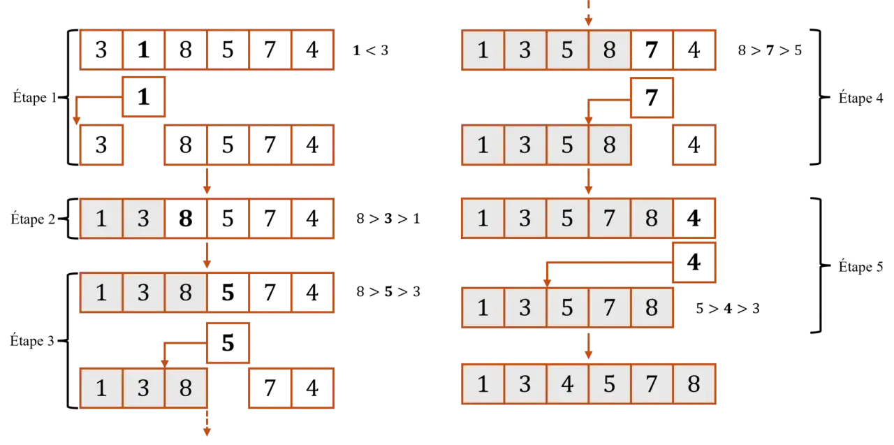 Illustration du tri par insertion en Python : étapes montrant comment les éléments sont insérés dans une liste triée.