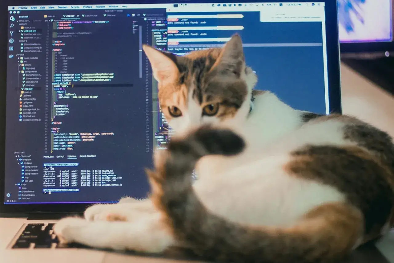 Un chat tigr&eacute; observe un &eacute;cran d'ordinateur affichant du code Java et des lignes de commande.