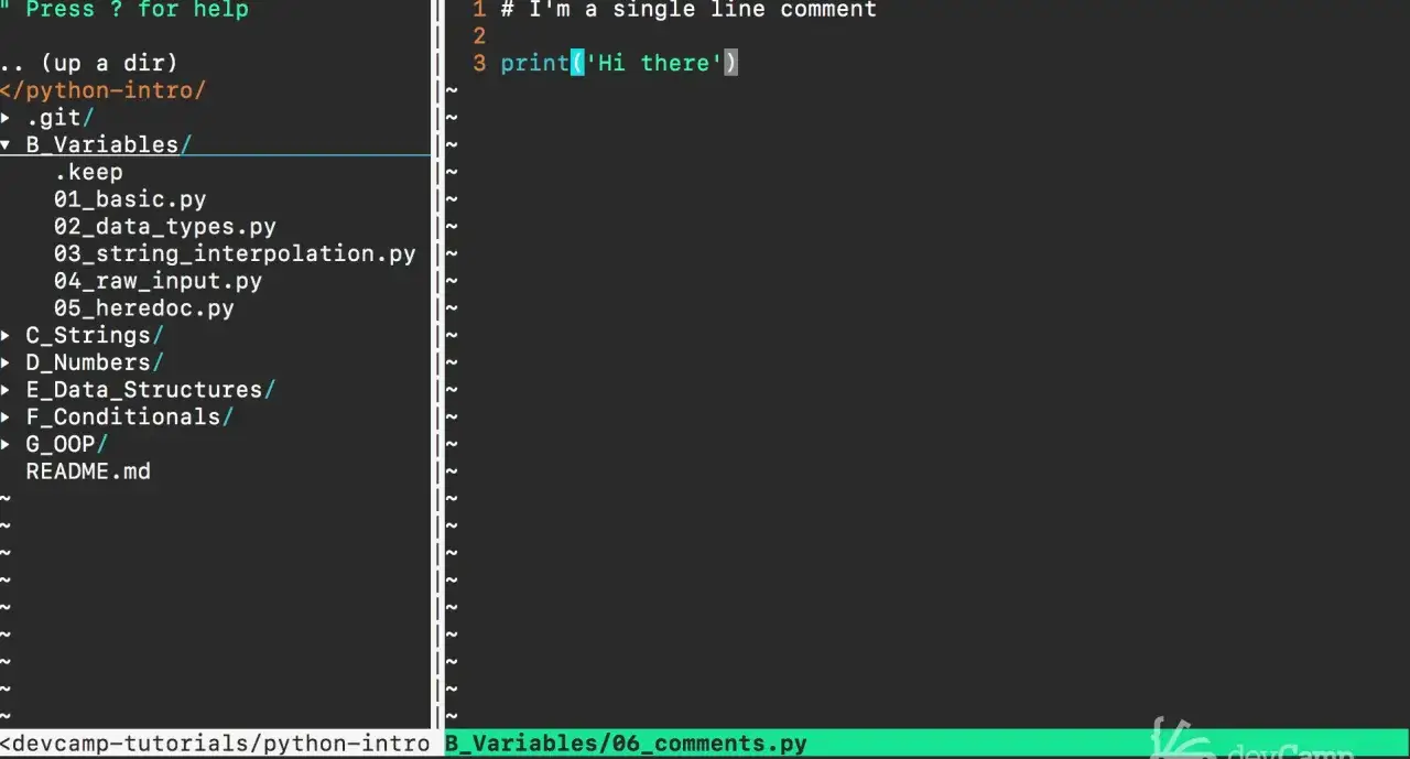 Un éditeur de code affiche un fichier Python. La ligne 1 contient un commentaire Python, la ligne 3 une instruction `print`. Le fichier est `06_comments.py`.