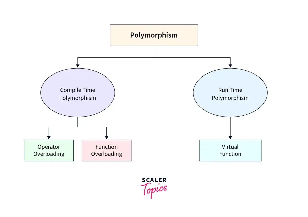 Diagramme illustrant le polymorphisme en POO, divisé en polymorphisme à la compilation (surcharge d'opérateurs, surcharge de fonctions) et à l'exécution (fonctions virtuelles).