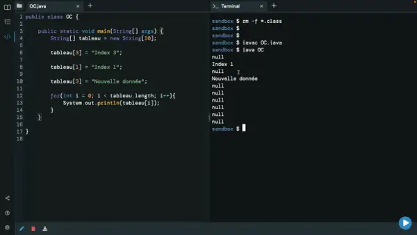 Code Java affichant un tableau de chaînes, avec "Index 1" et "Nouvelle donnée" visibles dans la sortie du terminal.