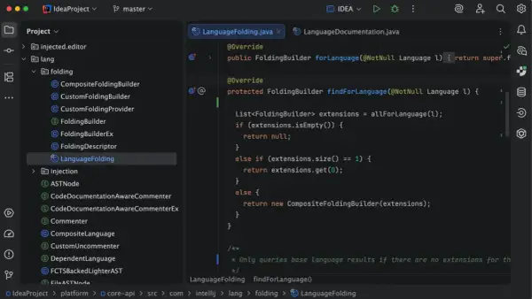 Un développeur travaille sur une idée Java, explorant la classe `LanguageFolding` dans un IDE.