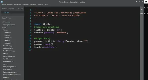 Code Python utilisant tkinter pour créer une fenêtre avec un champ de saisie (Entry) pour un mot de passe.
