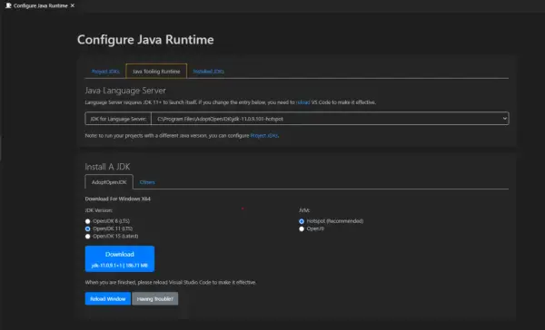 Configuration du runtime Java. Le chemin du JDK pour le serveur de langage est défini. Installation d'un JDK avec choix de version.