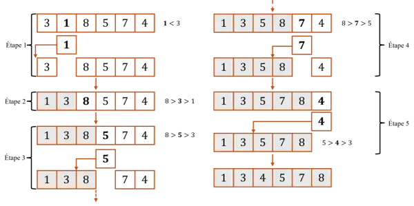 Illustration du tri par insertion en Python : étapes montrant comment les éléments sont insérés dans une liste triée.